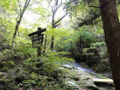 �ӂ������􂳂�̏����Y�����ւ̓��e�ʐ^1