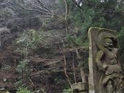 �t���X�s�[�h����̐瓕�Ε��̓��e�ʐ^1