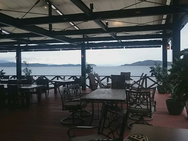 �C��������_�J�_�e���X