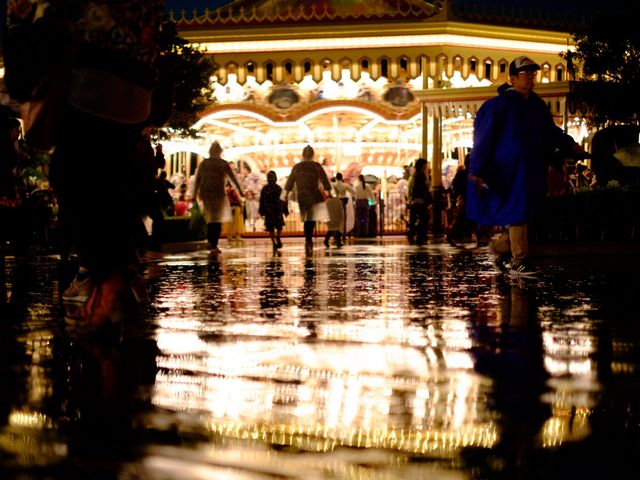 �J���~�������ǂ���͂���ŕ��͋C���ǂ������ł�_�����f�B�Y�j�[�V�[(R)