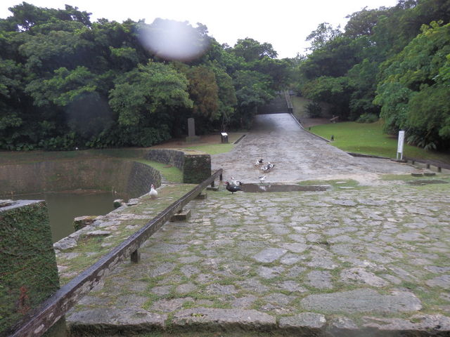 �q���h������̗������̓��e�ʐ^1