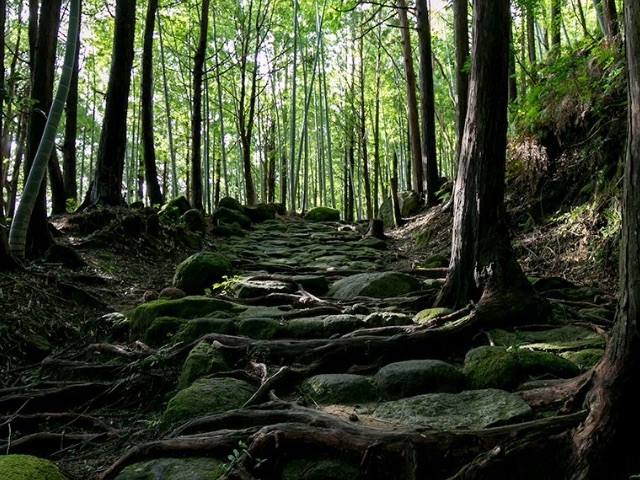 �F��Ó�_�F��Ó�