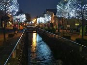 ɂ񂽂낤̃zVJJtF̓eʐ^1