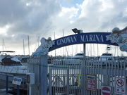 kijimunar̋Xp`}[i̓eʐ^1