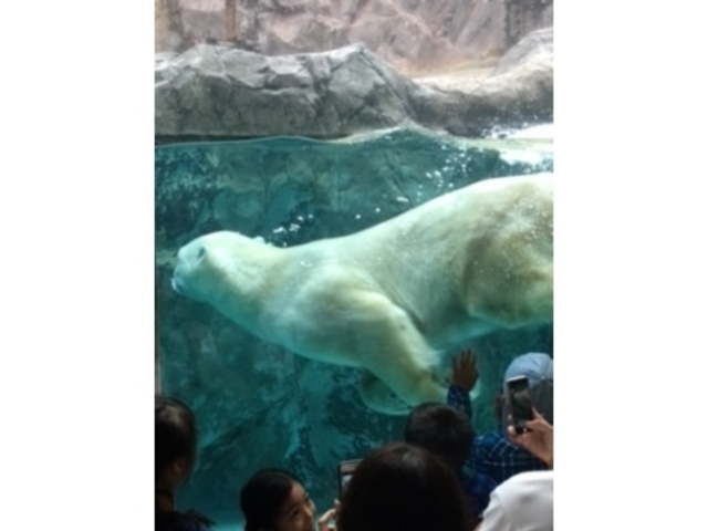 ���O���O�^�C��_���R������