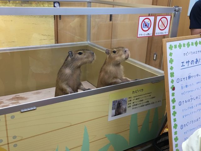 Jsp̉ǎB_͐ӂꂠȊwف@ANAE݂͂