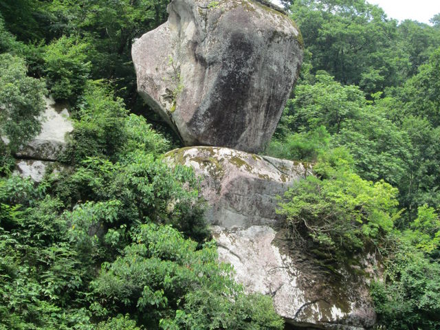 ��≓�i�B_�������R�����S�̐�k�R�[�X