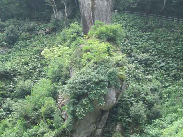 ����Ȋ��_�������R�����S�̐�k�R�[�X