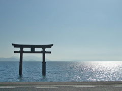 marimari̔颐_Ђւ̓eʐ^1