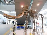 񂳂̃X[GsȊwق̓eʐ^1