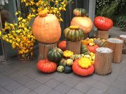 [񂳂Nicolai Bergmann Nomu̓eʐ^1