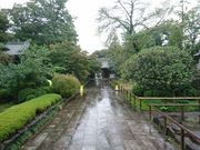 e񂳂̊ϐ򎛂̓eʐ^3