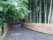 e񂳂̊ϐ򎛂̓eʐ^4