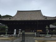 �}�C�a�n�n����̑��R���{���̓��e�ʐ^1