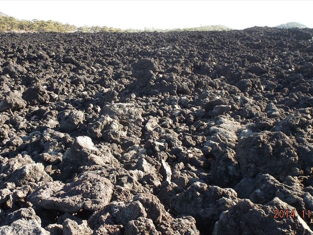 �V��������_���R�i��茧���Β��j