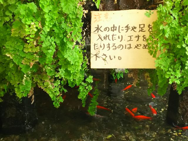 ܂񂳂̋gۓV铹̉wX̓eʐ^2