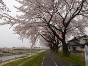 Ղ邯񂳂̎߉ޓӂꂠ[h̍؂̓eʐ^1