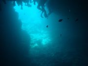 Ƃ݂̃}T|[g@^ChEcg̓eʐ^1