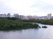 kijimunar̖΂̓eʐ^1