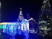 ̃ze@To[ߐ{@ANAEB[iX̓eʐ^1