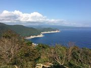 poporon̑哰RW]̓eʐ^4