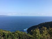 poporon̑哰C݂̓eʐ^3