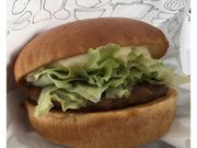 Ȃ̃Xo[K[铌X̓eʐ^1