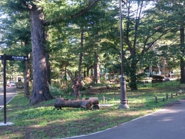 �~�R����_�~�R����