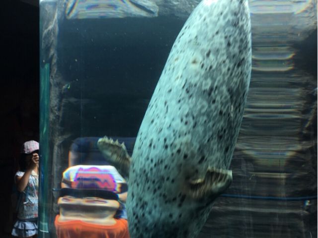 �����炵
_���R������