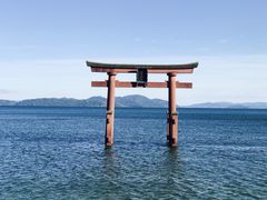 ݂Ђ낳̔颐_Ђւ̓eʐ^1