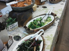 Ђ݂̓̉w Vւ̓eʐ^1