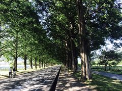 ݂Ђ낳̃^ZRCA؂ւ̓eʐ^1