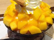 michi����̃\���r�� ���h�{�X�̓��e�ʐ^1