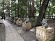 シトラさんの浅間神社（山梨県笛吹市）への投稿写真3