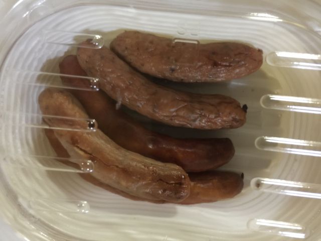 ͂Ȃ񂳂̃KXg b{X̓eʐ^1