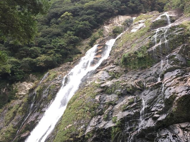 �Y��ł�����_���̑�