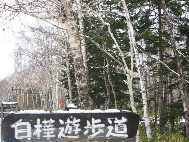 �����V����_�����V�����R�[�X