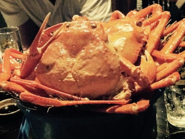 䂫Ȃ̋ _  k{X̓eʐ^1