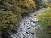 񂿂񂳂̖ʉ͐̓eʐ^2