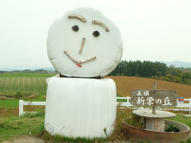 ���ɐԂ���_�V�h�̋u�W�]����