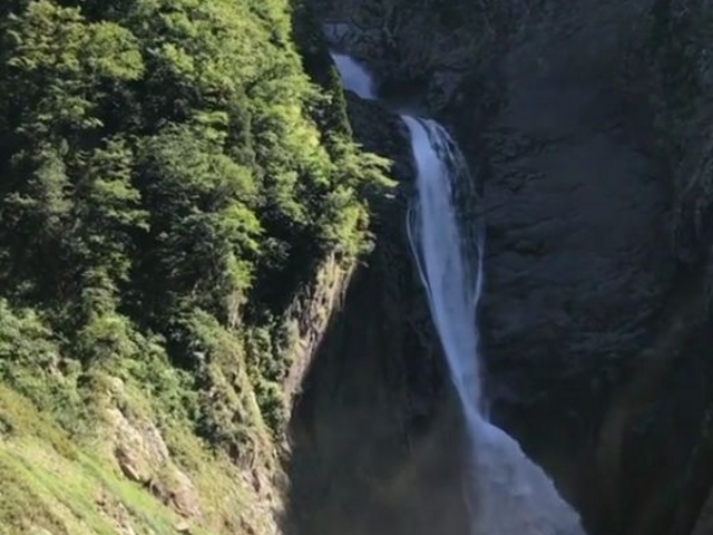 ����_�̖���