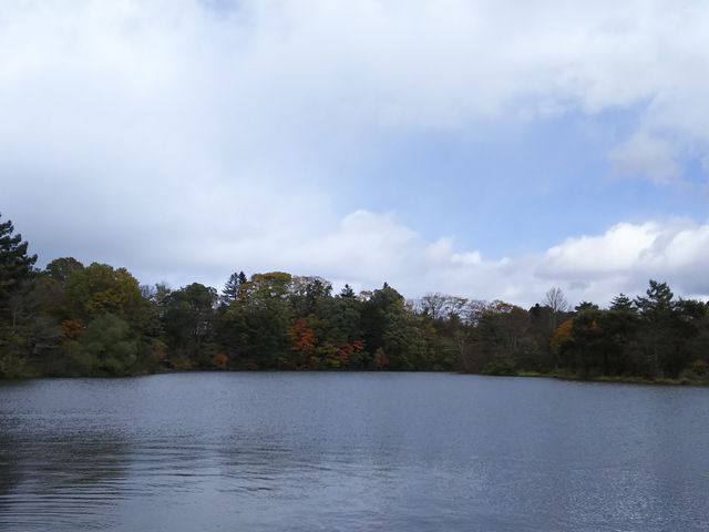 ΂炵iF̏łIgtYłB_y^AZ(St)