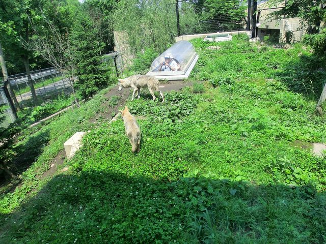 ��������_���R������