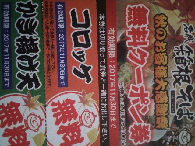 �w�r���̔������΂ŃN�[�|�������炢�܂���_�i�q���{�w