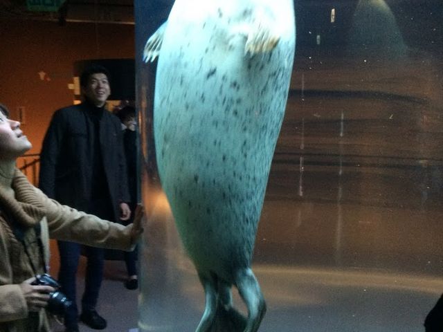 �����炵_���R������