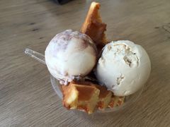 ���C�u����̂q�������i���X���@���X�̐X�j�ւ̓��e�ʐ^1