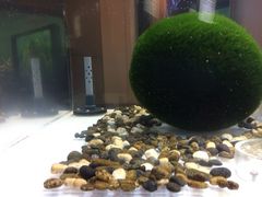 kokutenhöόDDi΃}N[Yjւ̓eʐ^1