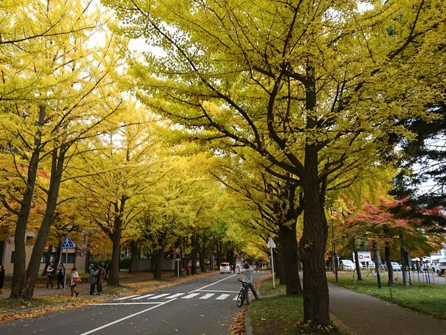 �k��C�`���E����