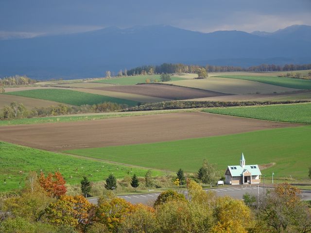 ���c�̋u�����䂩��_���c�̋u��������