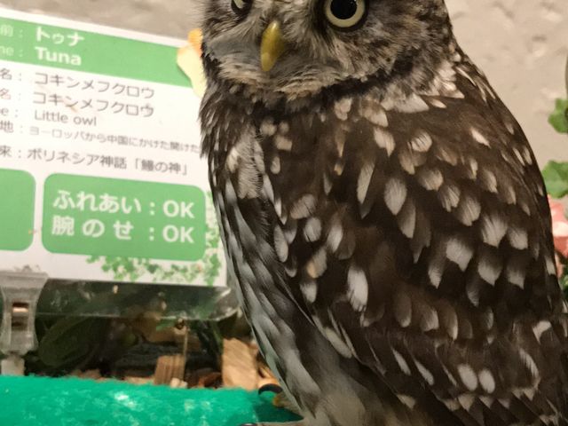 o[hX^bt}Ă܂B_tNÊ